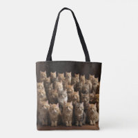 the cat family