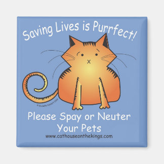 The Cat House on the Kings Spay and Neuter Magnet