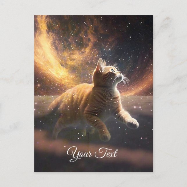 The cat is playing with the stars.  postcard (Front)