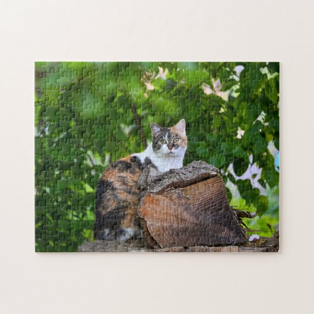 The Cat Jigsaw Puzzle (Horizontal)