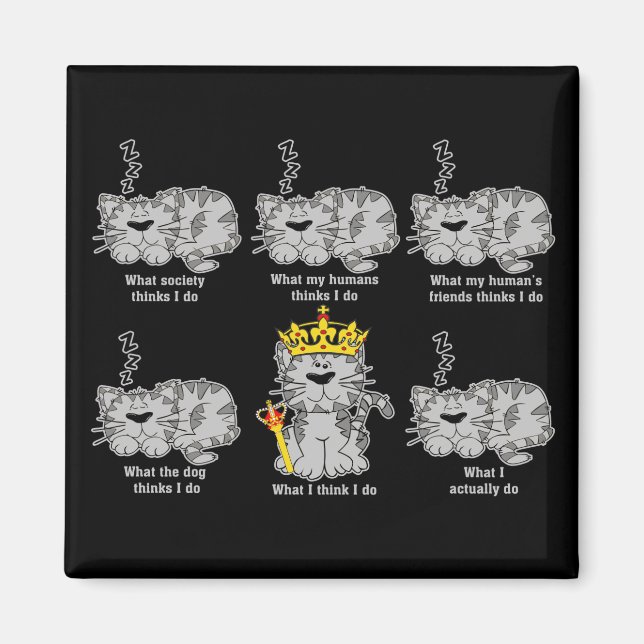 The Cat Magnet (Front)