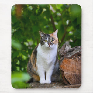 The Cat Mouse Mat