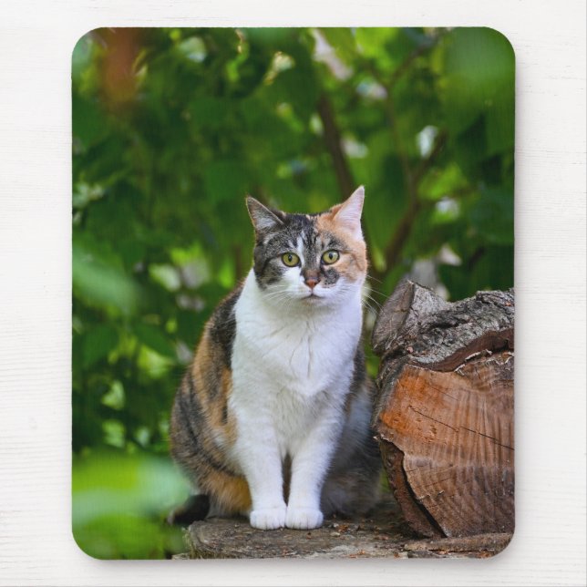 The Cat     Mouse Mat (Front)