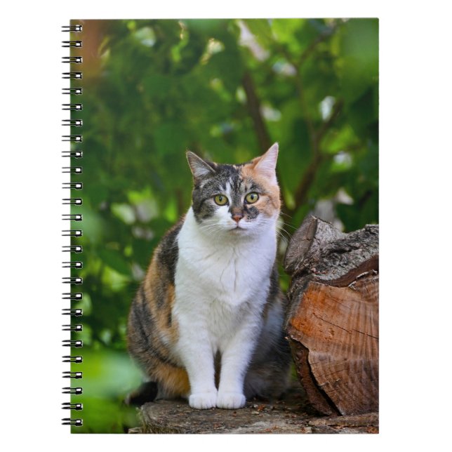 The Cat    Notebook (Front)