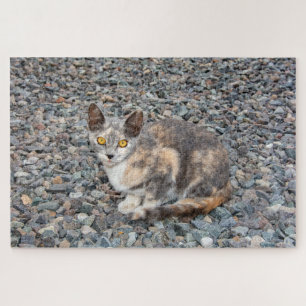 The Cat   Pillow Case Jigsaw Puzzle