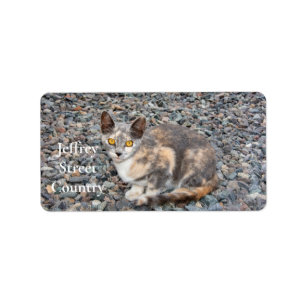 The Cat   Pillow Case Label