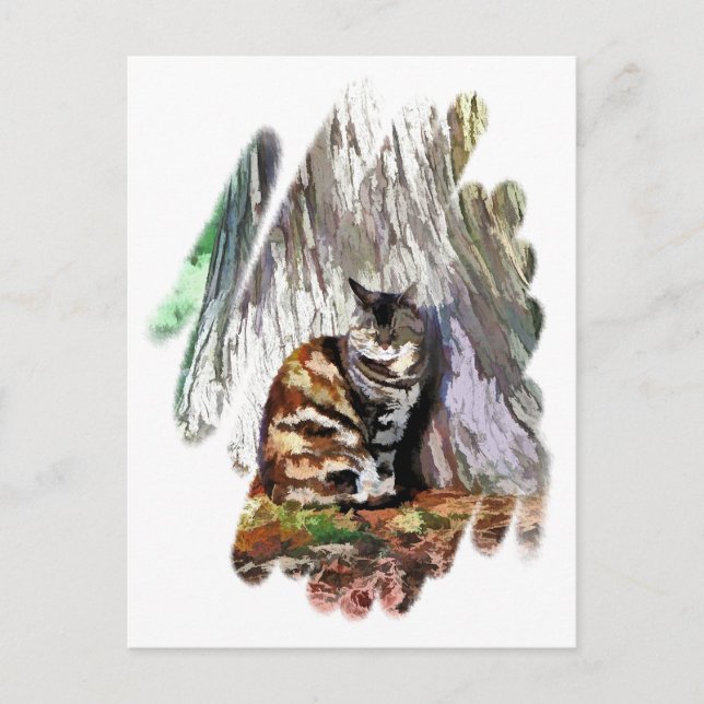 THE CAT POSTCARD (Front)