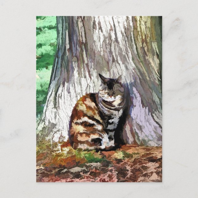 THE CAT POSTCARD (Front)