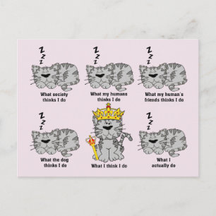The Cat Postcard