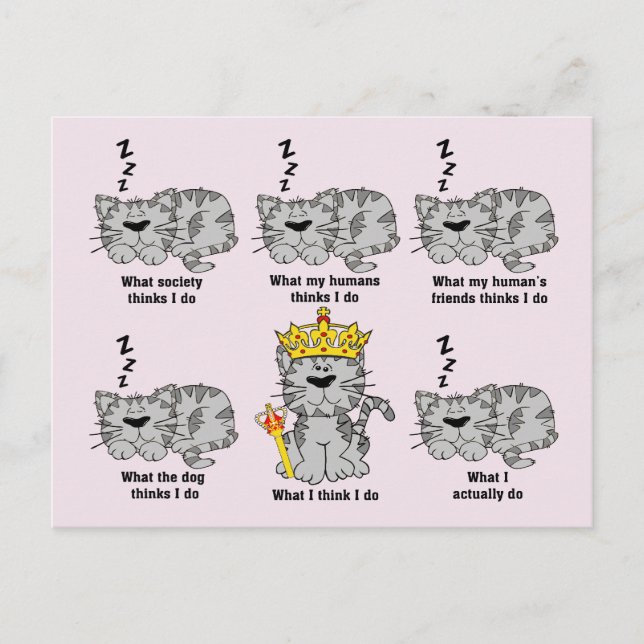 The Cat Postcard (Front)