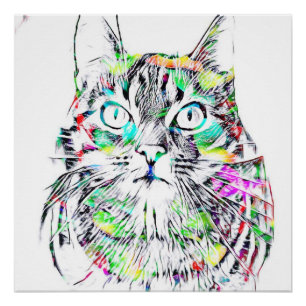 The CAT Poster