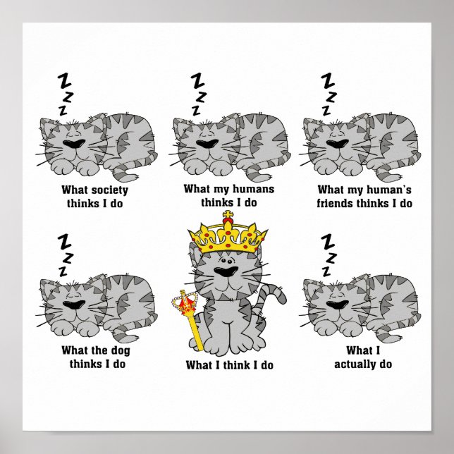 The Cat Poster (Front)