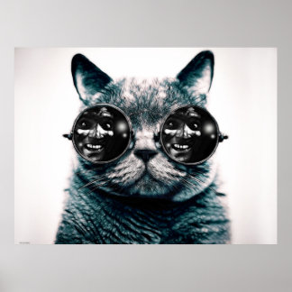 THE CAT POSTER