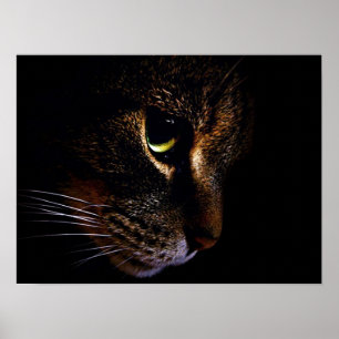 The Cat Poster