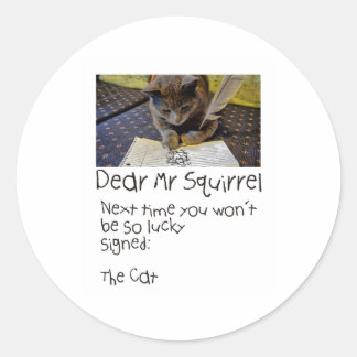 The CAT sends note to Squirrel Classic Round Sticker