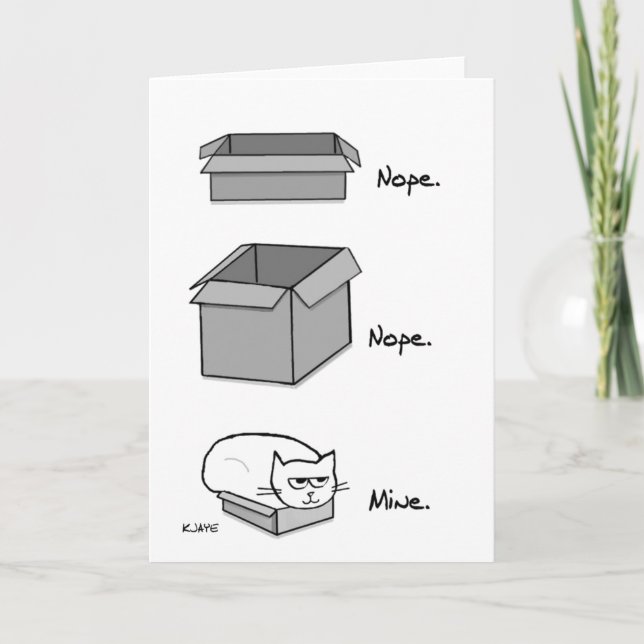 The Cat Totally Fits in this Box - Funny Cat Car Card (Front)