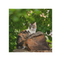 The Cat   Wood Wall Art