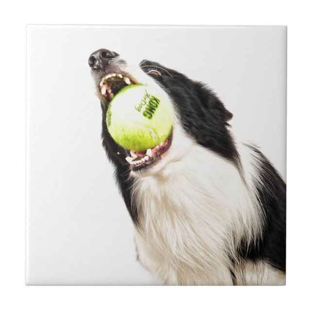 The Catch Tile (Front)