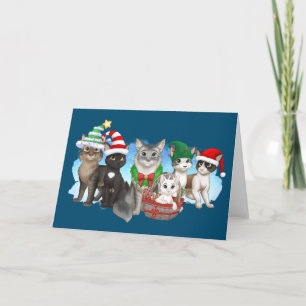 The Cats and Crew Christmas Card 5" x 7"
