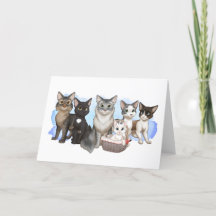 The Cats and Crew Greeting Card 5" x 7"