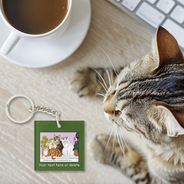 The Cats are in Charge Key Ring (Creator Uploaded)