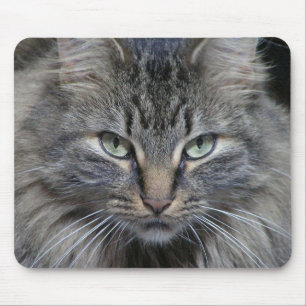 The Cats Eyes Have It Mouse Mat