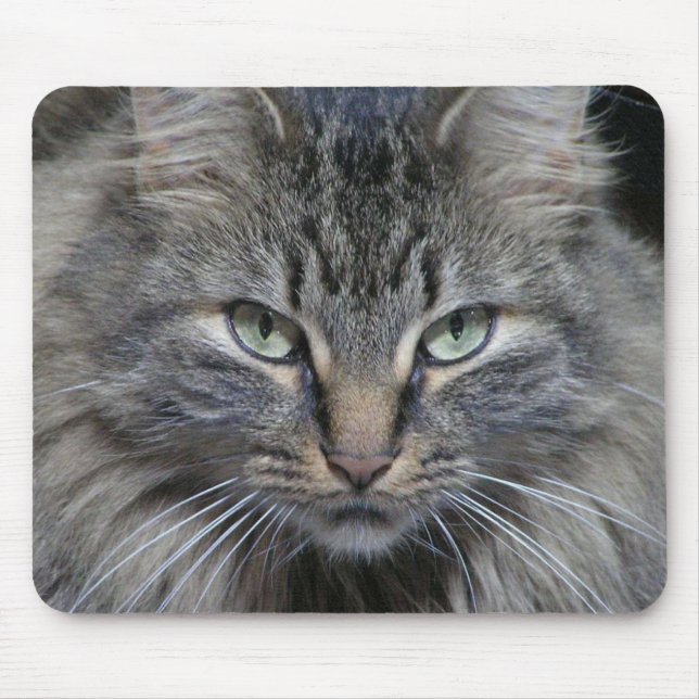 The Cats Eyes Have It Mouse Mat (Front)