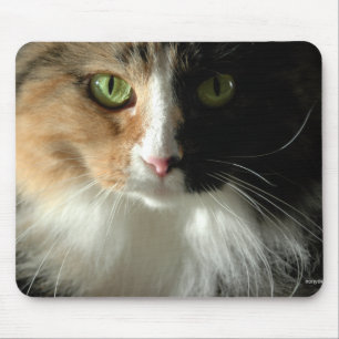 The Cat's Eyes Mousepad