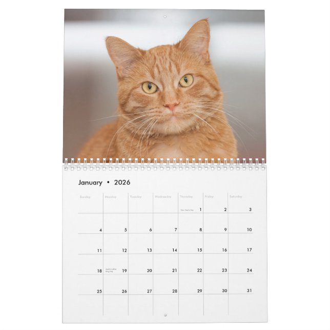 The Cats of Cats Cradle Shelter 2014 Calendar (Jan 2026)