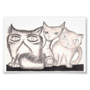 The Cats Photo Print
