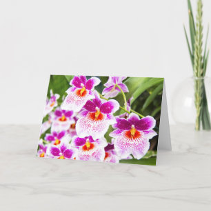 The Cattleya Fushia & White Orchids Greeting Card