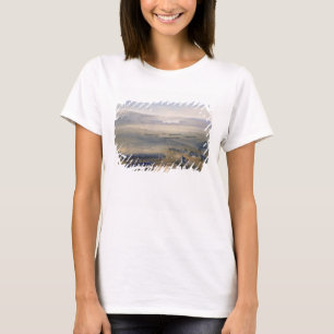 The Cavalry Affair of the Heights of Bulganak: the T-Shirt