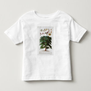 The Cedar, engraved by Johann Jakob Haid (1704-67) Toddler T-Shirt