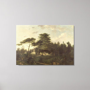 The Cedar of Lebanon in the Jardin des Plantes Canvas Print