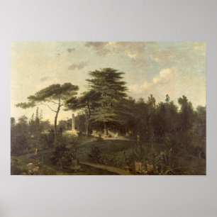 The Cedar of Lebanon in the Jardin des Plantes Poster