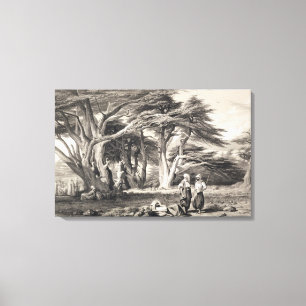 The Cedars of Lebanon, engraved by Freeman (sepia Canvas Print