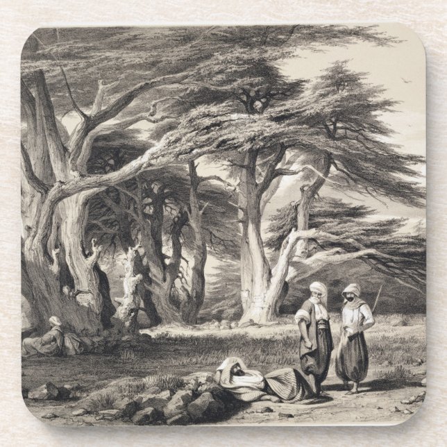 The Cedars of Lebanon, engraved by Freeman (sepia Coaster (Front)