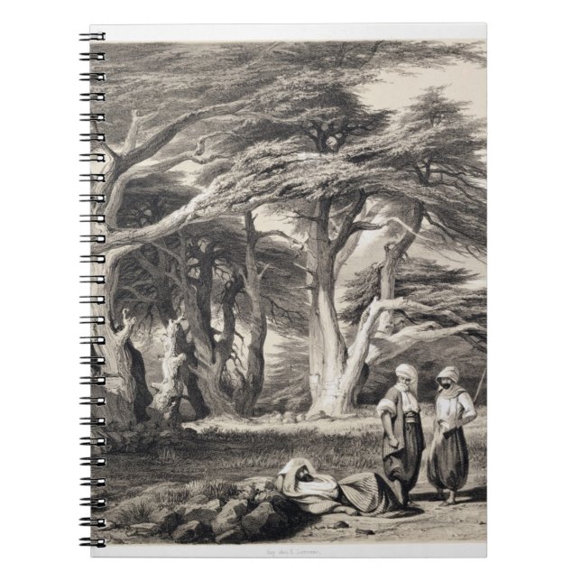 The Cedars of Lebanon, engraved by Freeman (sepia Notebook (Front)