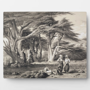 The Cedars of Lebanon, engraved by Freeman (sepia Plaque