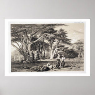 The Cedars of Lebanon, engraved by Freeman (sepia Poster
