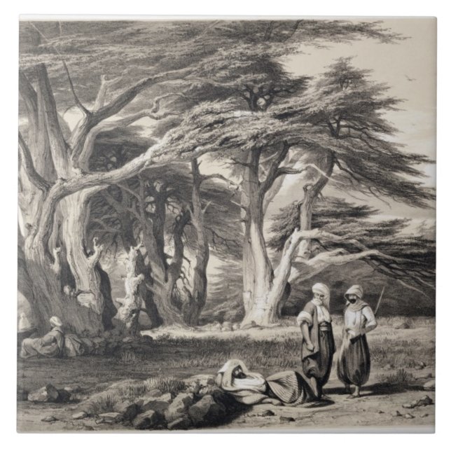 The Cedars of Lebanon, engraved by Freeman (sepia Tile (Front)