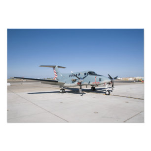 The Centennial of Naval Aviation Commemorative Photo Print