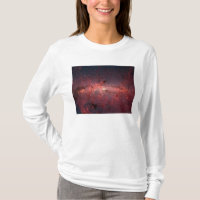 The centre of the Milky Way Galaxy