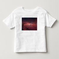 The centre of the Milky Way Galaxy