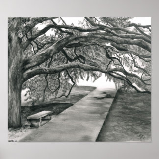 The Century Tree Poster