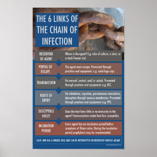 The chain of Inflectional Educational Poster