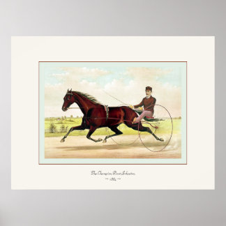 The Champion Pacer Johnston ~ 1884 Poster