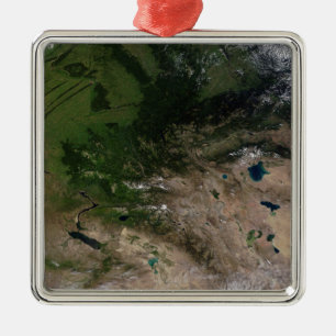 The change in vegetation metal tree decoration