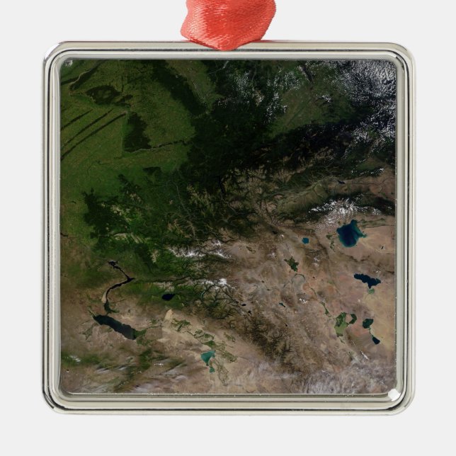 The change in vegetation metal tree decoration (Front)