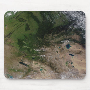 The change in vegetation mouse mat